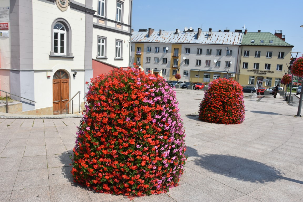 Brzozów w plebiscycie na najpiękniej ukwiecone miasto w Polsce