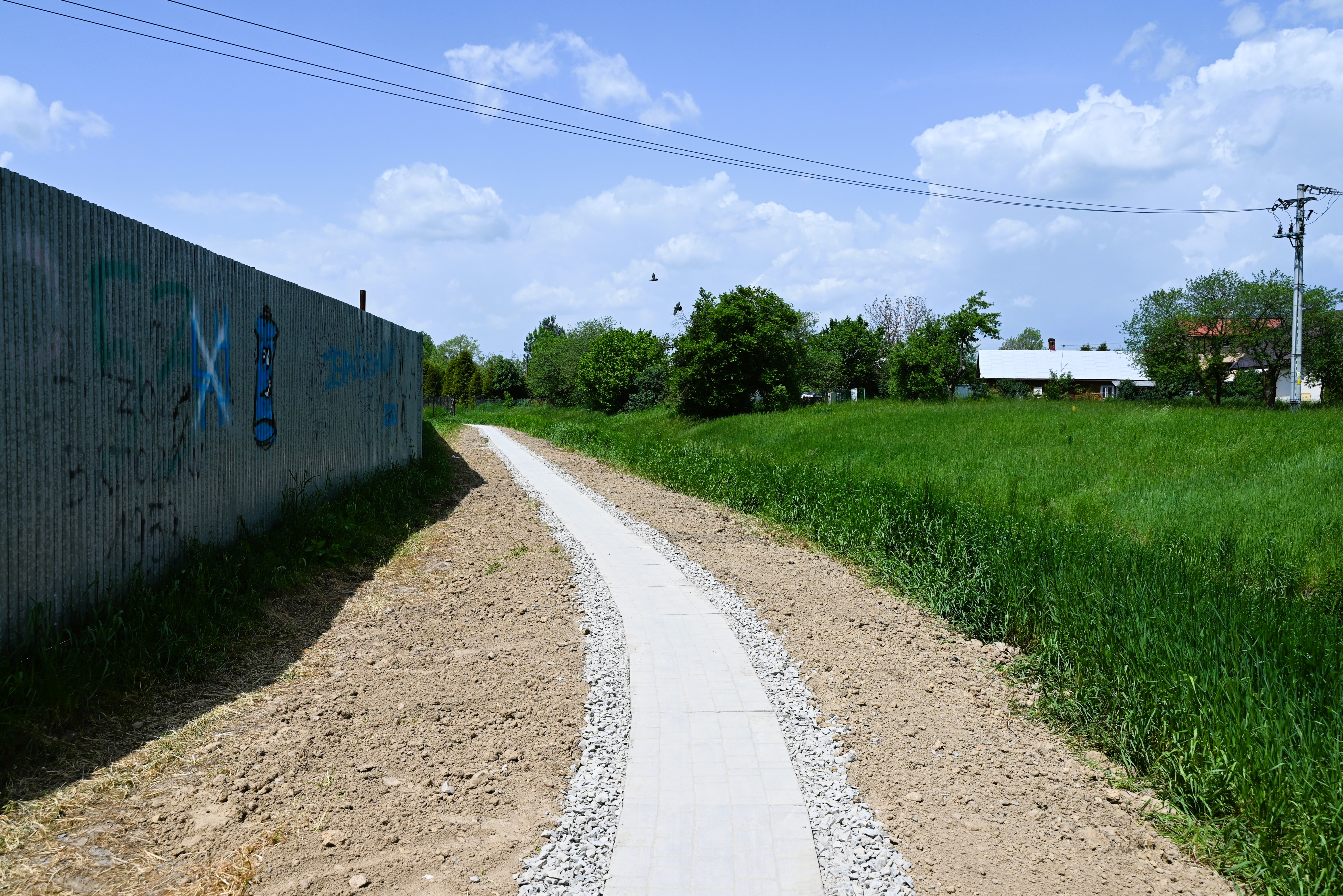 DSC 1913