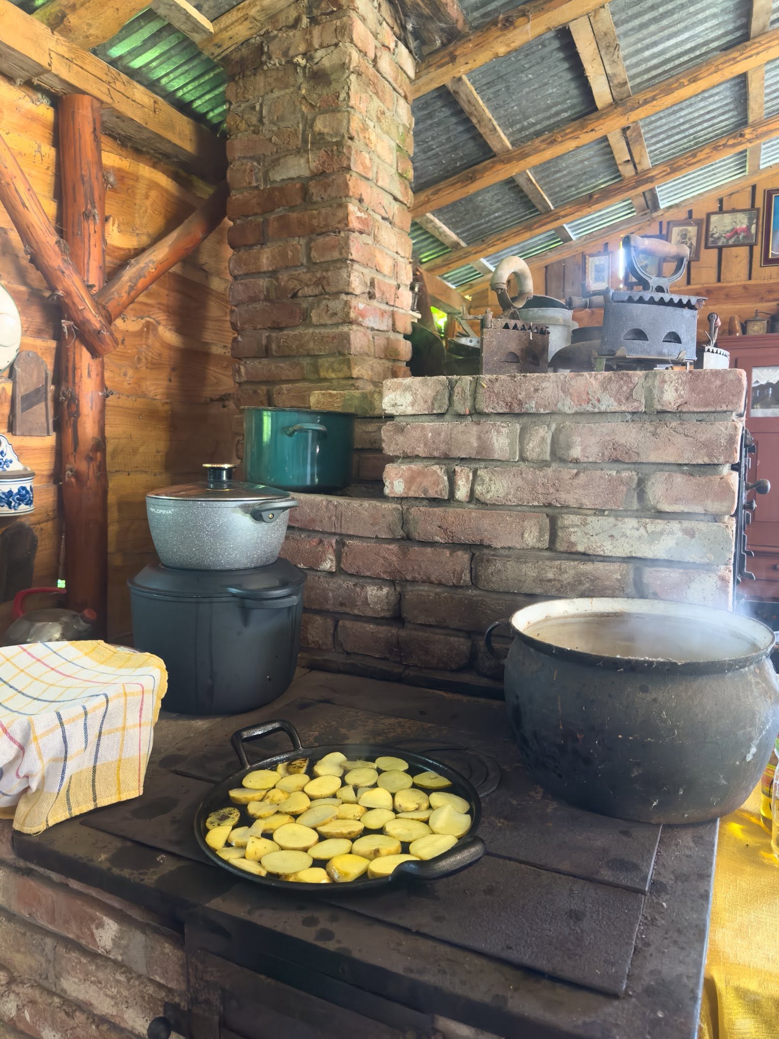730266746 1042536075006080 2911625560919897758 N