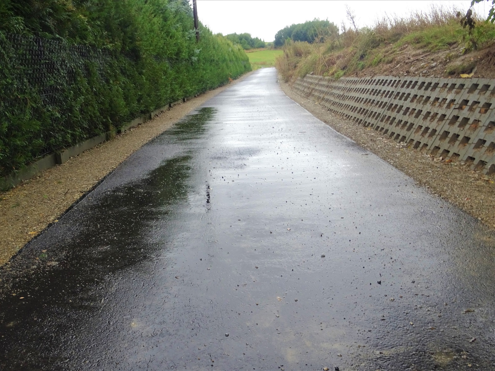 Oddanie drogi Humniska-Skrzyżowanie