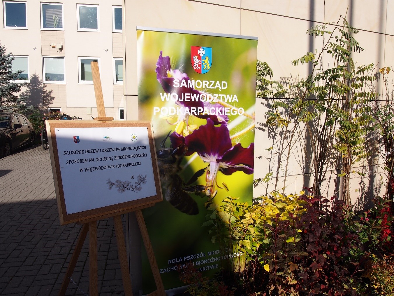 Sadzenie drzew i krzewów miododajnych w Gminie Brzozów w 2022 roku