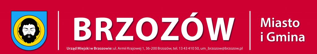 Brzozów – Mapa Miasta i Gminy