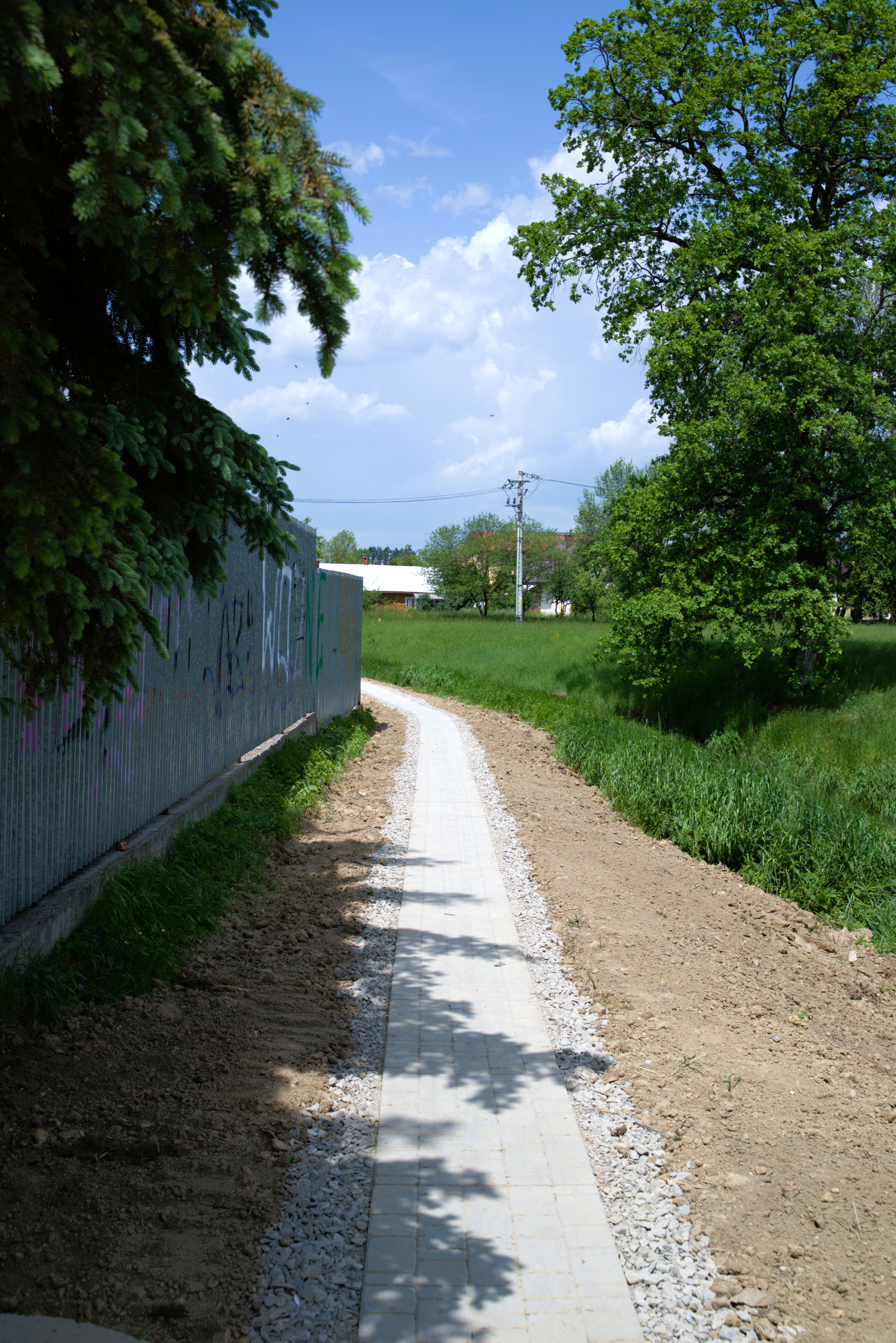 DSC 1908