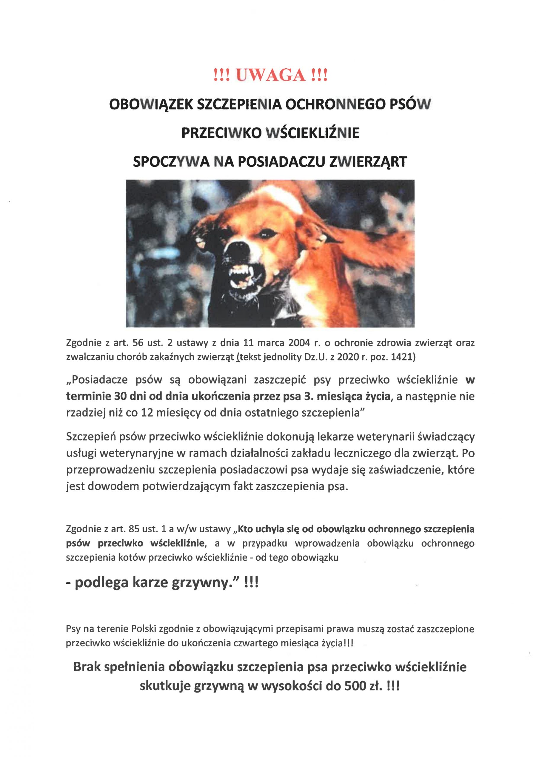 Szczepienie ochronne psów