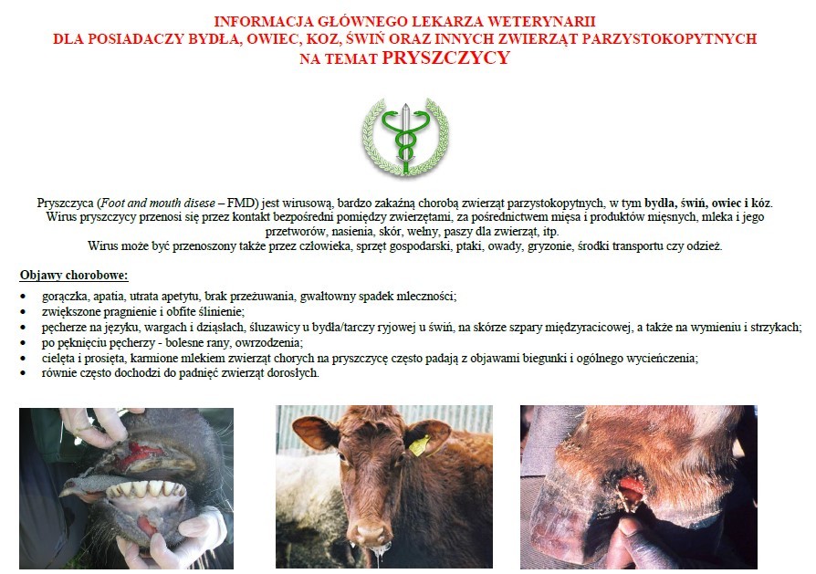 Informacja Powiatowego Lekarza Weterynarii w Brzozowie w sprawie pryszczycy
