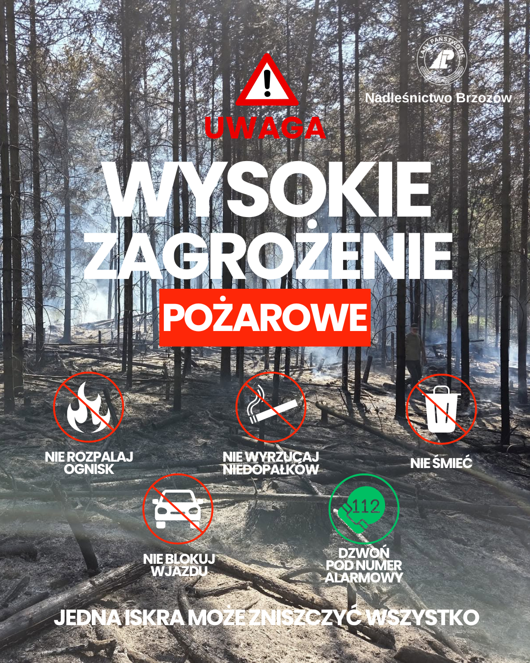 Wysokie zagrożenie pożarowe w lasach