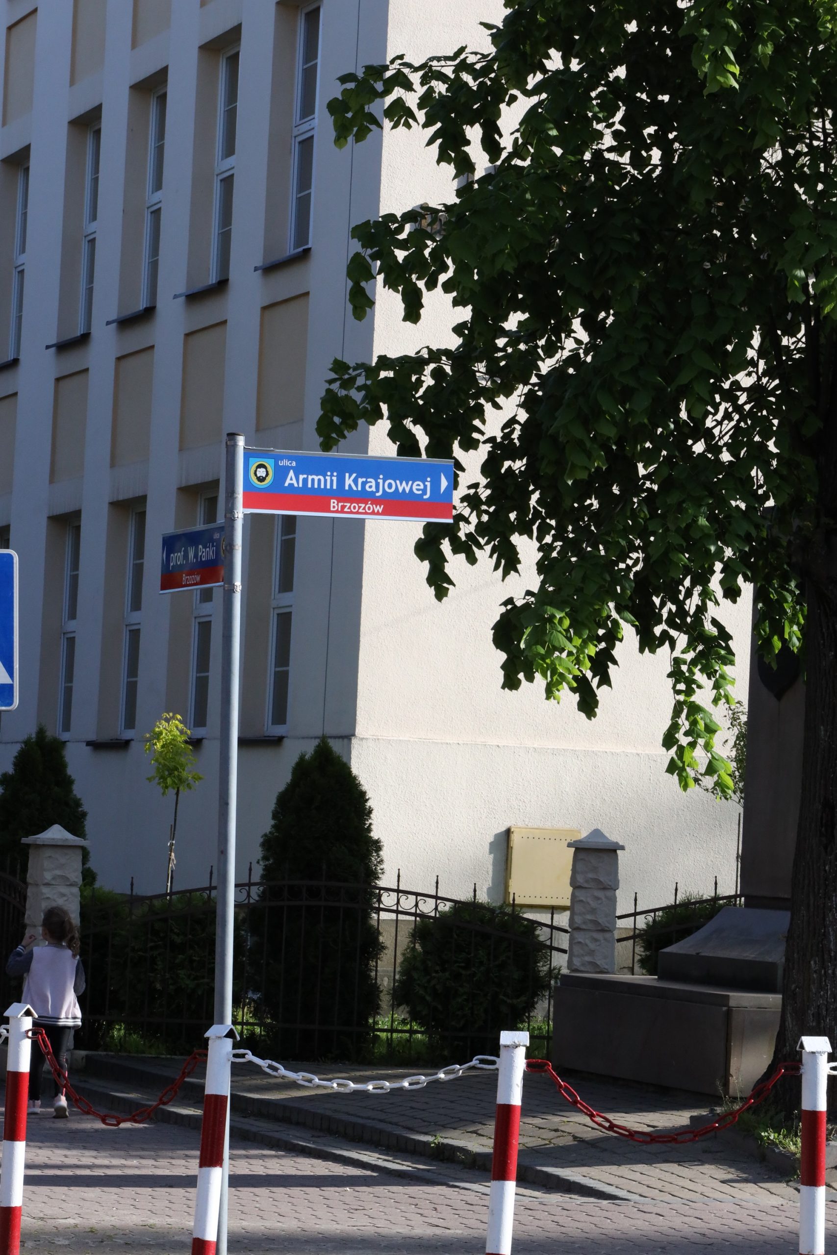 Odłowiono ranną sowę