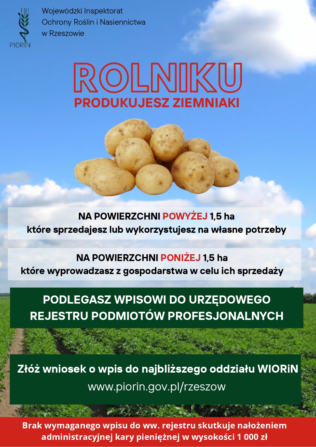 Rolniku! Produkujesz ziemniaki?