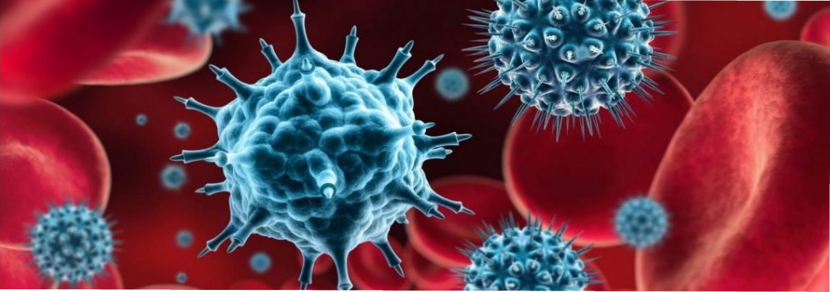 Powiększone komórki koronawirusa w kolorze błękitnych na tle czerwonych ciałek krwi