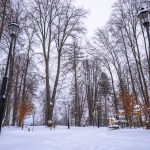 Zdjęcie parku zima. Na pierwszym planie dwie latarnie na czarnych słupach