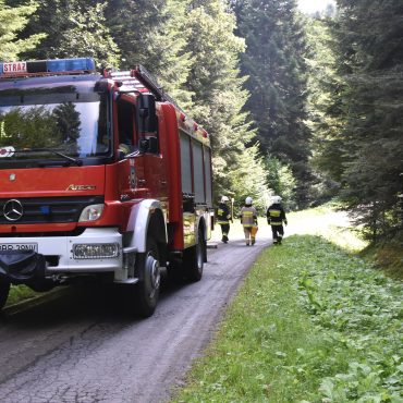 Wóz strażacki stoi na drodze leśnej, za nim w głąb lasu idą strażacy.