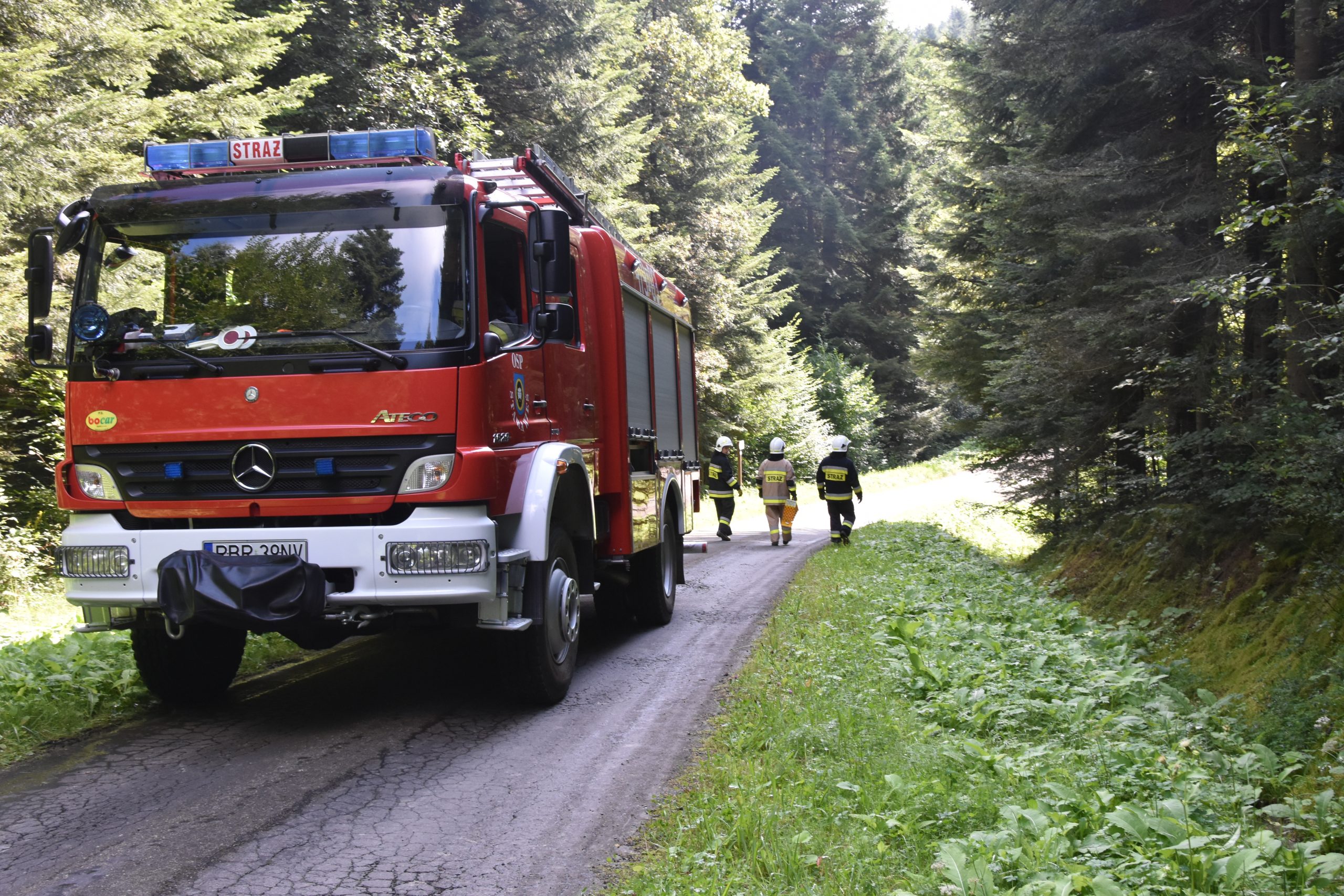 Wóz strażacki stoi na drodze leśnej, za nim w głąb lasu idą strażacy.