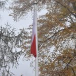 Maszt z zawieszoną biało-czerwoną flagą. W tle gałęzie drzew mglista pogoda.