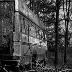Stary niedziałający autobus zezłomowany w lesie.